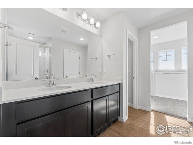 866 Mesic Lane, Windsor, CO 80550