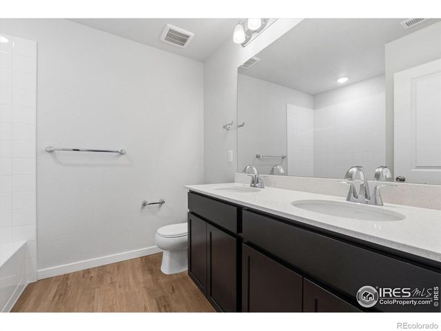 866 Mesic Lane, Windsor, CO 80550