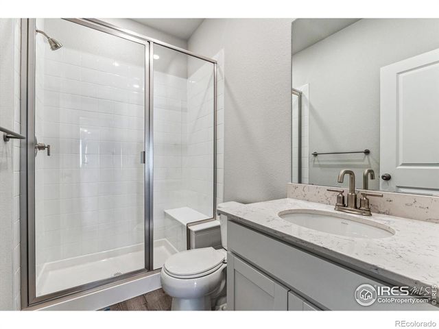 866 Mesic Lane, Windsor, CO 80550