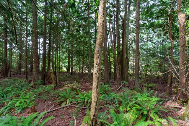 0 Lakewood Road, Stanwood, WA 98292