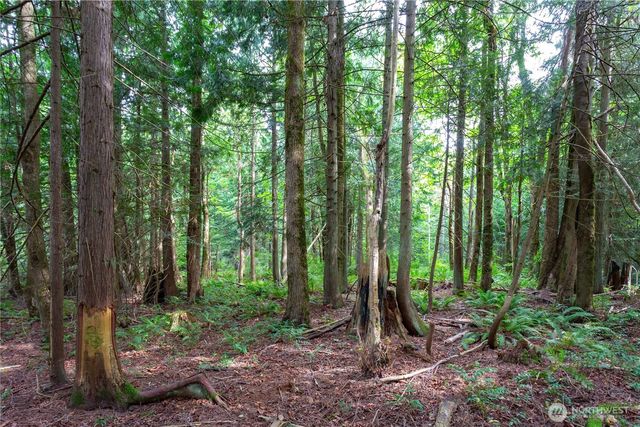 0 Lakewood Road, Stanwood, WA 98292
