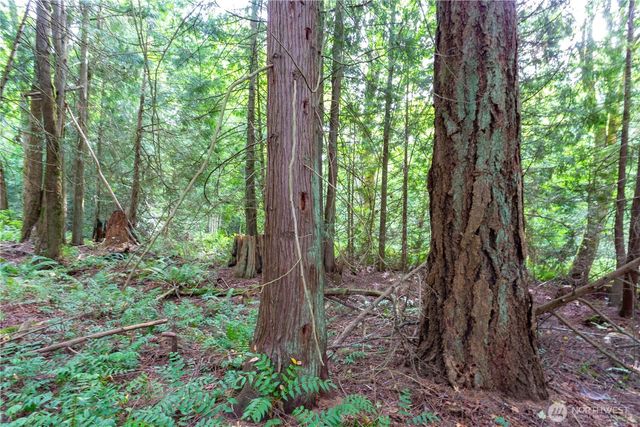 0 Lakewood Road, Stanwood, WA 98292