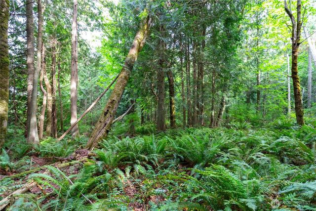 0 Lakewood Road, Stanwood, WA 98292