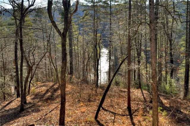 1312 Hicks Ford Road, Ellijay, GA 30540