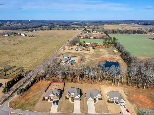 29241 Carnaby Lane, Toney, AL 35773