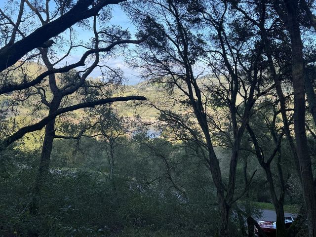 0 Chesbro Lake Drive, Morgan Hill, CA 95037