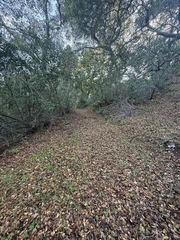 0 Chesbro Lake Drive, Morgan Hill, CA 95037