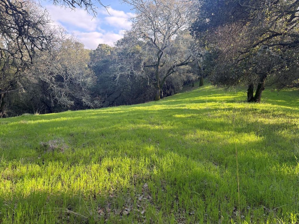 0 Chesbro Lake Drive, Morgan Hill, CA 95037