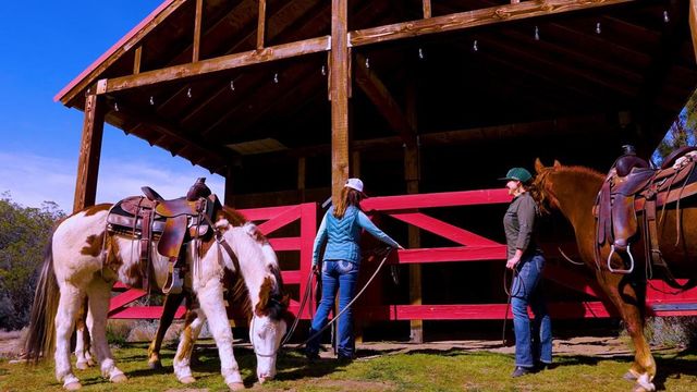 36750 Upper Valley Road, Anza, CA 92539