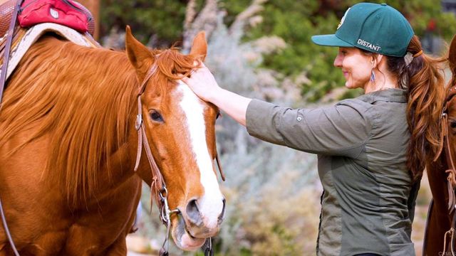 36750 Upper Valley Road, Anza, CA 92539