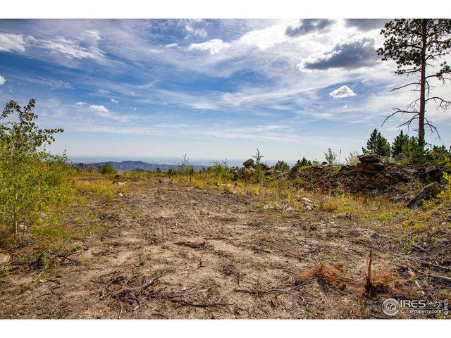 805 Meadows Dr, Drake, CO 80515