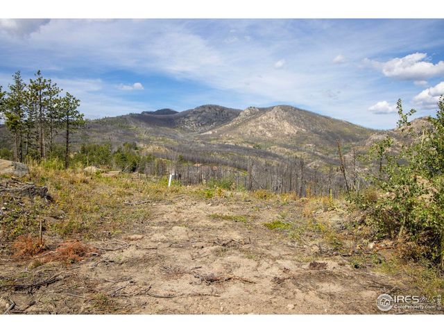 805 Meadows Dr, Drake, CO 80515
