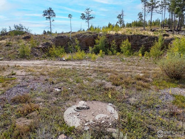 805 Meadows Dr, Drake, CO 80515