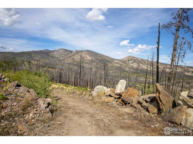 805 Meadows Dr, Drake, CO 80515