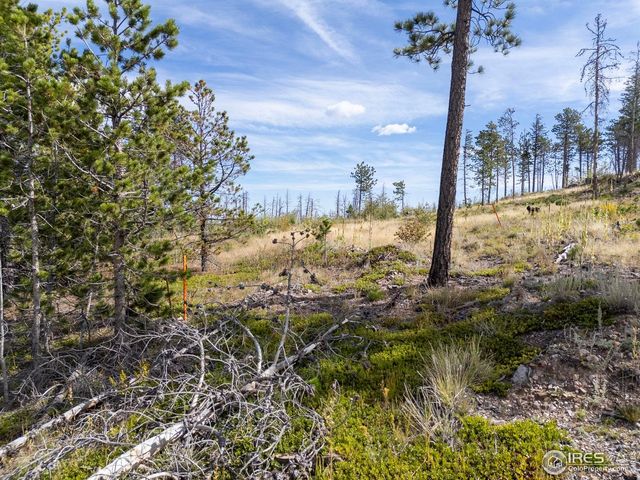 805 Meadows Dr, Drake, CO 80515