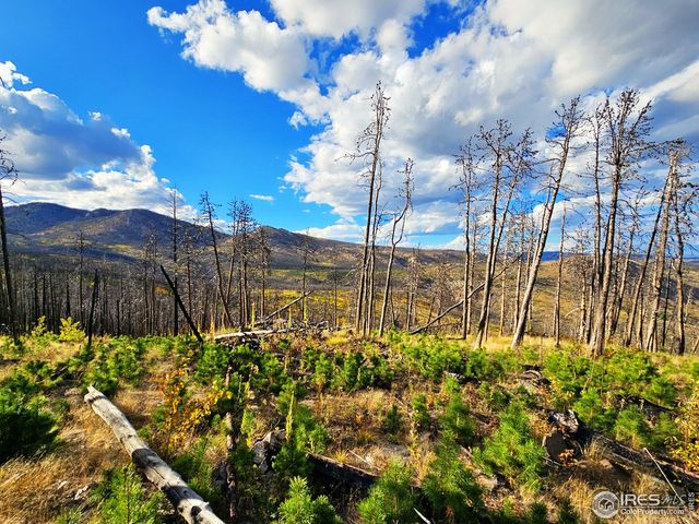 805 Meadows Dr, Drake, CO 80515