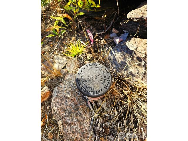 805 Meadows Dr, Drake, CO 80515