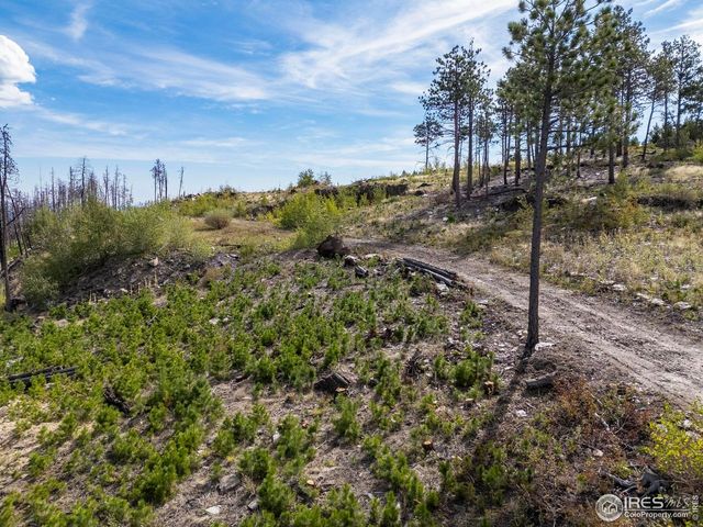 805 Meadows Dr, Drake, CO 80515