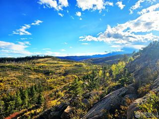 805 Meadows Dr, Drake, CO 80515