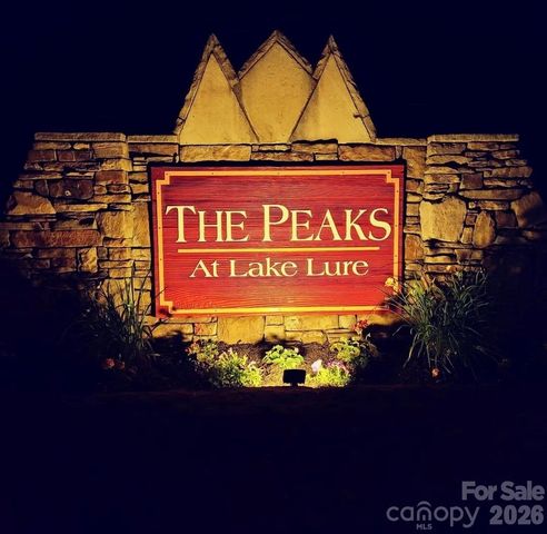 301 Peaks Drive, Lake Lure, NC 28746