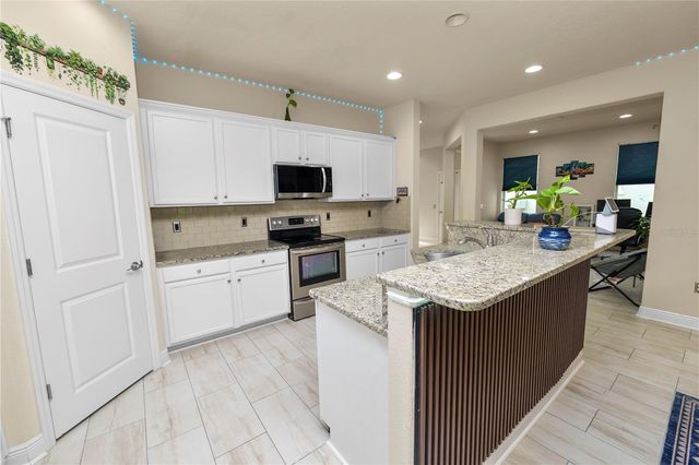 14621 ROCKY BROOK DRIVE, Tampa, FL 33625