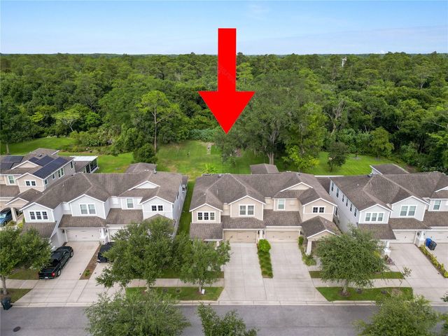 14621 ROCKY BROOK DRIVE, Tampa, FL 33625