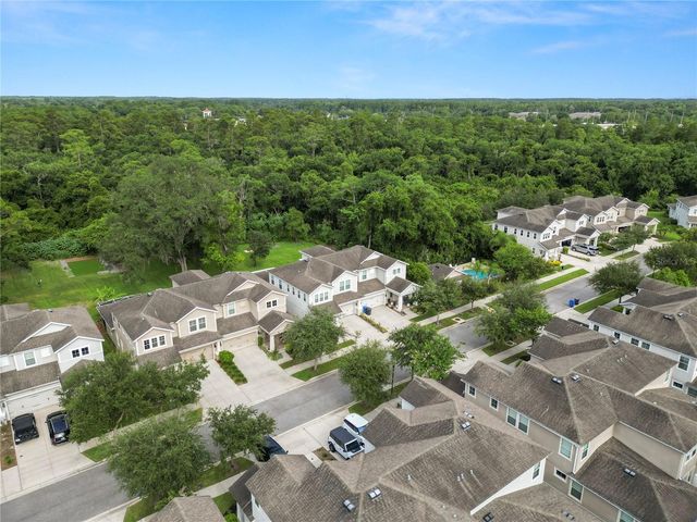 14621 ROCKY BROOK DRIVE, Tampa, FL 33625