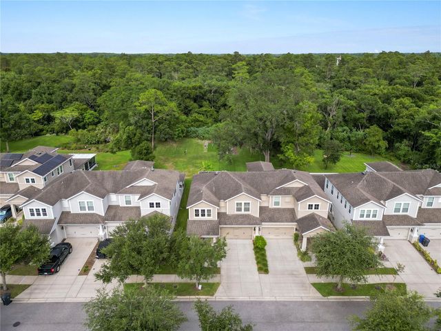 14621 ROCKY BROOK DRIVE, Tampa, FL 33625