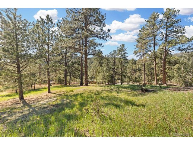 7186 Julie Ln, Evergreen, CO 80439