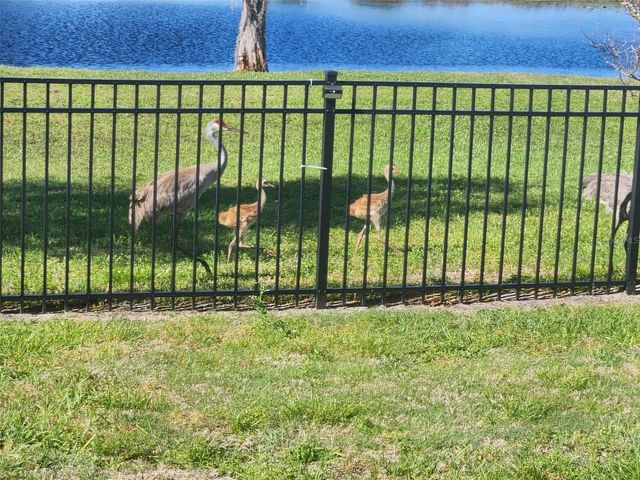 11506 LAKE DR, Leesburg, FL 34788