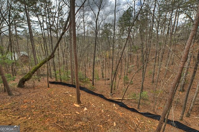 962 Maggie Chapman Road, Cherry Log, GA 30522