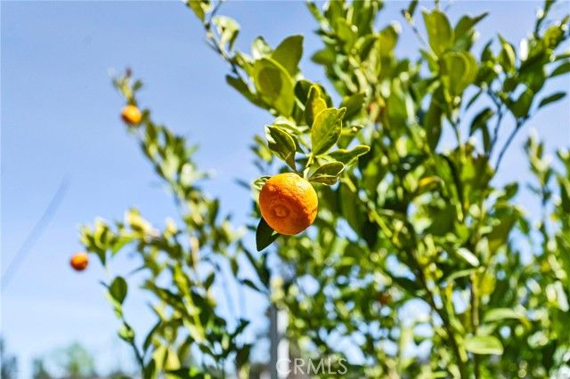 676 Edwards Lane, Paradise, CA 95969