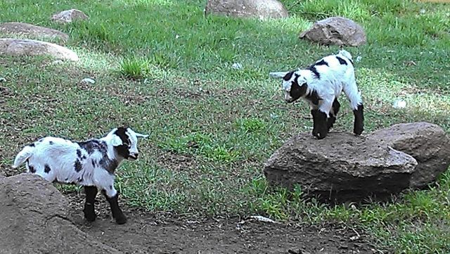 2945 County Road 4 SW 65, Cokato, MN 55321