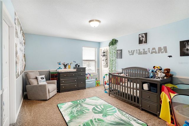 11882 THICKET WOOD DRIVE, Riverview, FL 33579