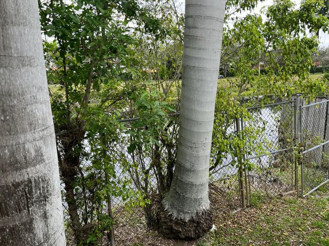 7445 N Augusta Drive, Hialeah, FL 33015