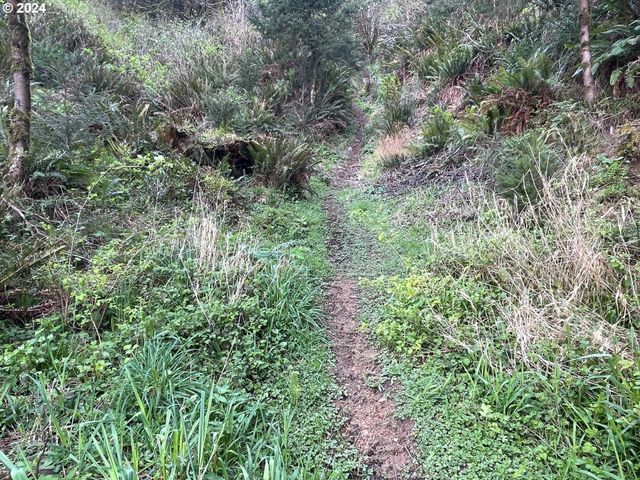 83126 SILTCOOS STATION Rd, Westlake, OR 97493