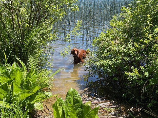 83126 SILTCOOS STATION Rd, Westlake, OR 97493