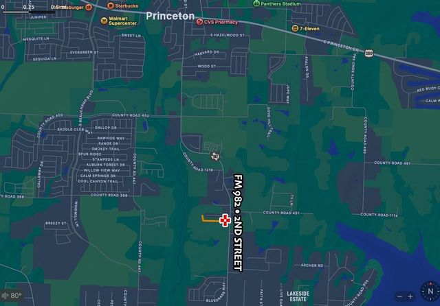 TBD Fm 982, Princeton, TX 75407