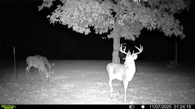 2628 County Road 2510, Quinlan, TX 75474