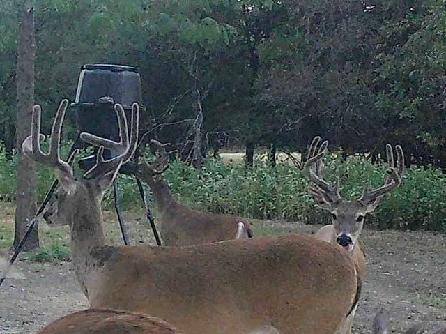 2628 County Road 2510, Quinlan, TX 75474