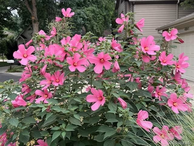 4945 Tesla Circle, Boulder, CO 80301