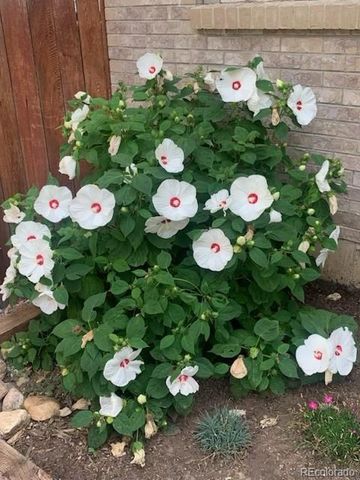 4945 Tesla Circle, Boulder, CO 80301