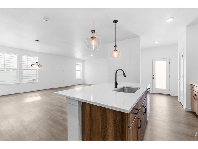4547 Parkline St, Timnath, CO 80547