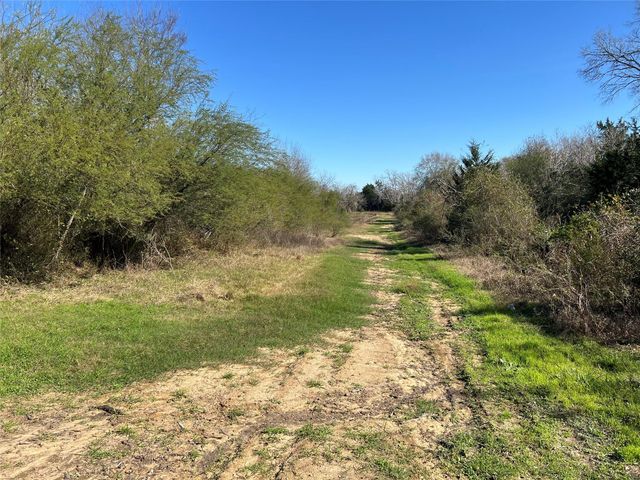 TBD Winding Br Lane, Chappell Hill, TX 77426