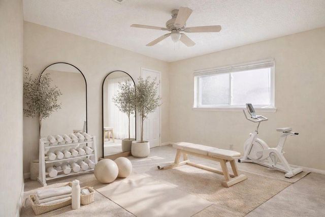 22831 Earlmist Drive, Spring, TX 77373