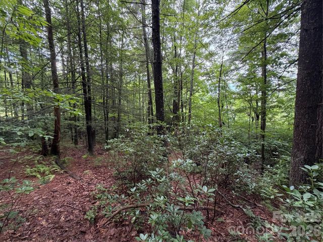 0 Gateway Drive 10, Hendersonville, NC 28739
