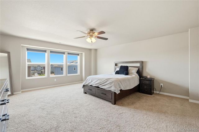 9585 Ghost Flower Lane, Colorado Springs, CO 80925