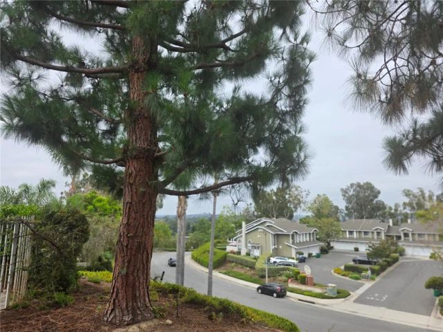 23395 La Crescenta A, Mission Viejo, CA 92691