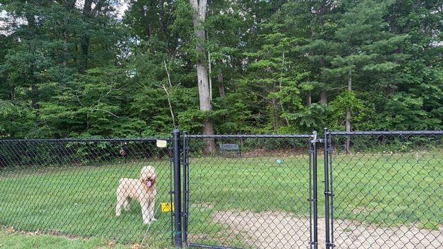 1 Paradise Lane I1, Whitman, MA 02382