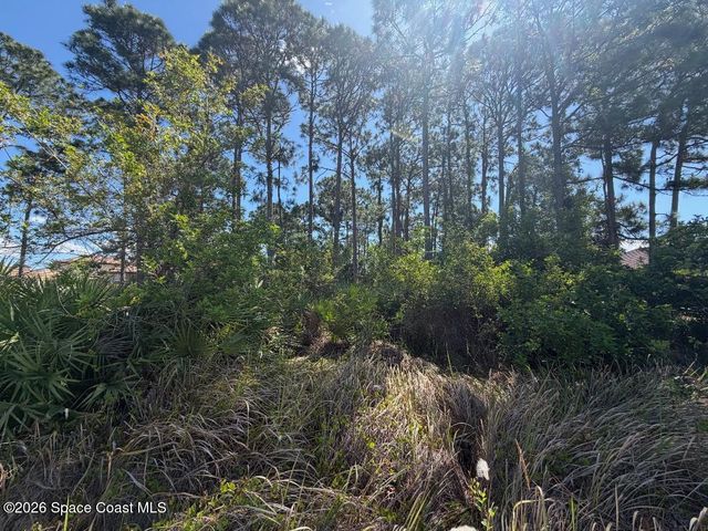 2515 Stillwater Lakes Drive SW, Palm Bay, FL 32908
